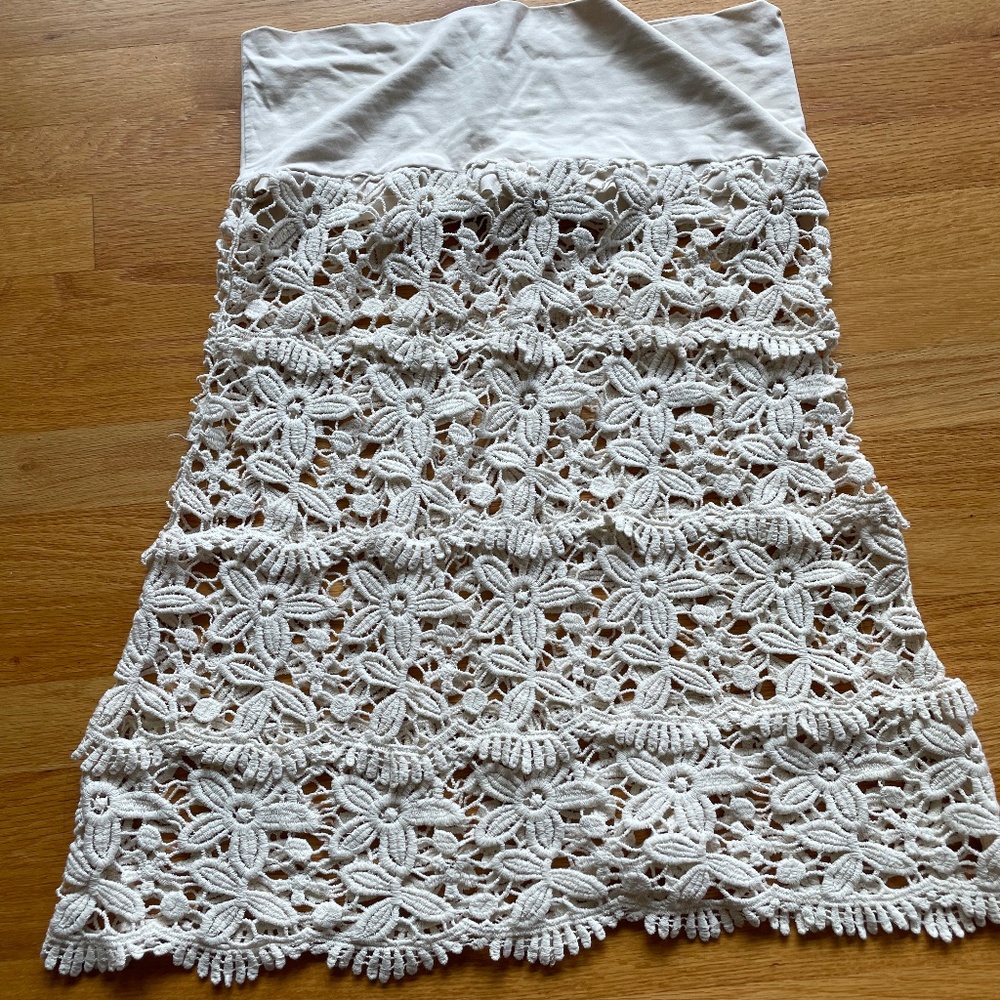 Lace Skirt